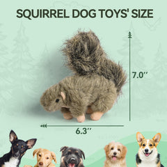 ALL FOR PAWS écureuil profil montrant la texture douce bénéfique pour le confort