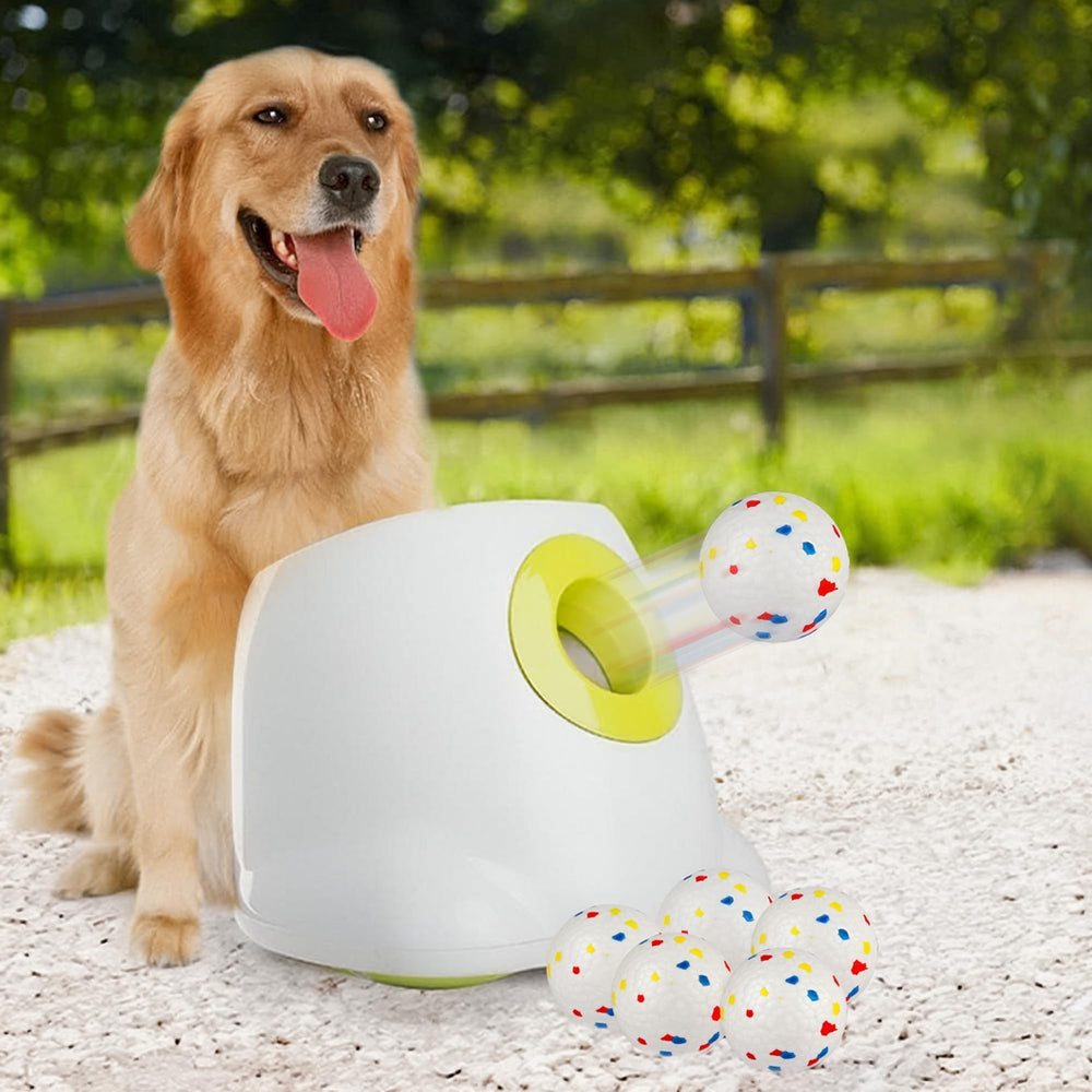 ALL FOR PAWS lanceur avant montrant la silhouette et l’entrée, favorise jeux autonomes