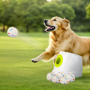 All for Paws face avant montrant la zone de lancement et réglages, pratique