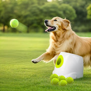 all for paws vue avant du lanceur montrant design robuste et sécurité