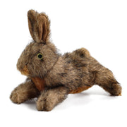 ALL FOR PAWS lapin de face montrant forme réaliste et attraction de jeu