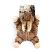 ALL FOR PAWS face avant du jouet lapin, attire au jeu