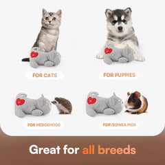 ALL FOR PAWS peluche en usage avec chat favorise détente immédiate