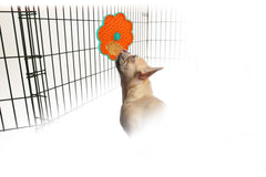 ALL FOR PAWS gros plan sur la texture en silicone, favorise léchage lent et digestion