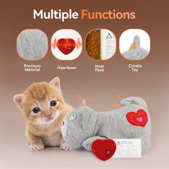 ALL FOR PAWS texture douce du tissu pour câlins confortables