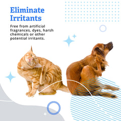 Allertech chien baigné illustrant pelage propre et réduction d'allergènes
