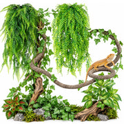 Alotiki vue frontale de l'ensemble décor pour terrarium offrant cachettes réalistes