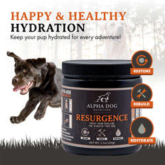 Alpha Dog poudre gros plan révélant texture fine et mélange facile