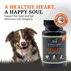 Alpha Dog Vitality gros plan sur une gélule, absorption facile et pureté