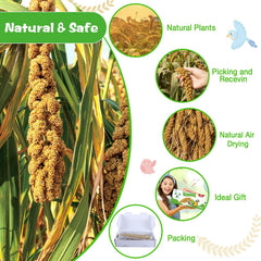 ALWZ-RDY millet accroché dans une cage stimulant picorage et activité