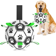 Amasiver vue avant du ballon de foot pour chien montrant design et sécurité