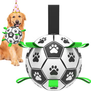 Amasiver ballon de football pour chien face avant montrant le design et la taille pratique