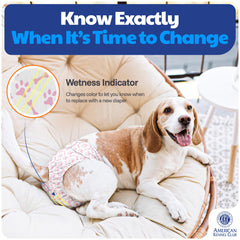 American Kennel Club indicateur d'humidité visible pour changements rapides