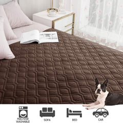 Ameritex housse utilisée par un chien offrant confort et propreté