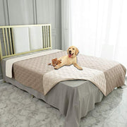 Ameritex vue frontale sur canapé montrant protection et style