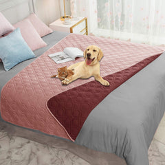 Ameritex housse recto sur canapé montrant protection et look élégant