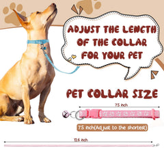 Gros plan Amylove motif pattes coloré, rendu visuel attrayant pour promenades