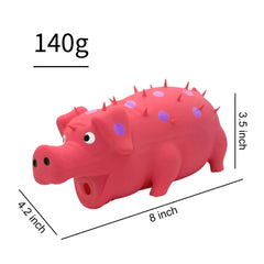 Andiker comparaison taille avec une main pour évaluer dimensions pratiques