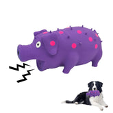 Andiker jouet cochon vue avant, attire le chien pour jouer