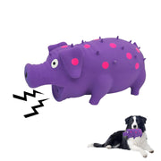 Andiker jouet cochon vue avant, attire le chien pour jouer
