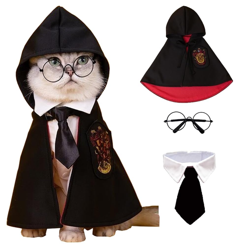 ANIAC cape avant montrant coupe et capuche pour confort
