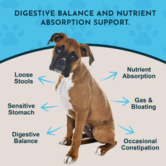 Animal Essentials gros plan sur la texture de la poudre pour dosage précis