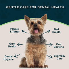 Animal Essentials Sea‑Dent saupoudré sur aliments pour administration facile