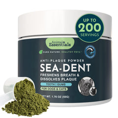 Animal Essentials Sea‑Dent pot avant montrant l'emballage pratique et naturel