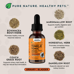 Animal Essentials gouttes sur cuillère démontrant administration simple
