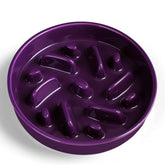 Anipaw bol en céramique face visible, design pratique et durable