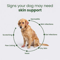 Aniwell DermaPrex texture molle du chew, facile à mâcher pour chiens