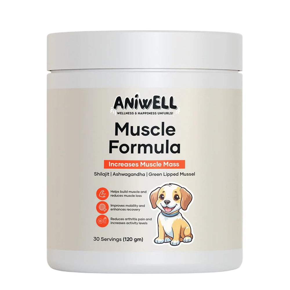 Aniwell emballage face montrant complément pour articulations et muscles