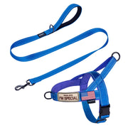 Annchwool harnais face avant bleu, confort et maintien optimaux