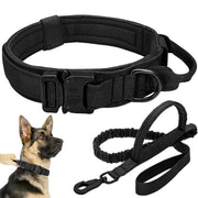 Antswish collier vu de face montrant la structure robuste et maintien sûr