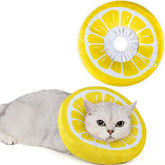 ANWA collerette avant packaging montrant protection confortable