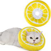 ANWA collerette avant packaging montrant protection confortable