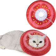 ANWA collerette face avant montrant la forme donut et confort
