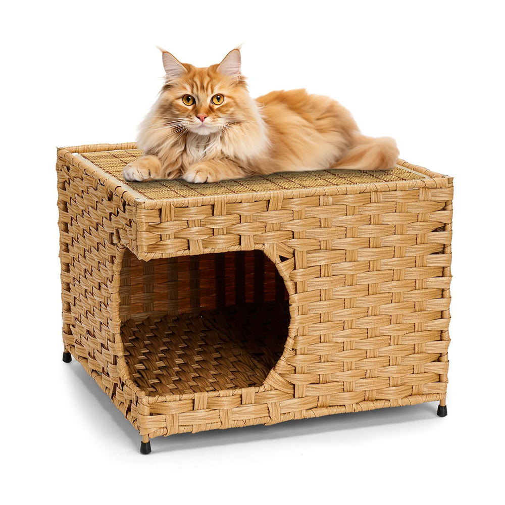 Anysiny maison chat façade montrant design élégant et sécurité