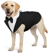 AOFITEE costume face avant montrant l'élégance et ajustement confortable