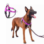 APDEXY harnais violet vue avant montrant fixation et confort pour promenade