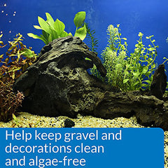 API STRESS ZYME en action dans aquarium pour filtration biologique améliorée