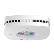 AquaIllumination Prime 16 HD face avant propre et minimaliste, améliore l'esthétique