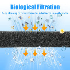 AQUANEAT mousse installée dans un sump améliorant le pré-filtrage
