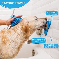 Aquapaw en usage dans baignoire pour calmer le chien durant le bain
