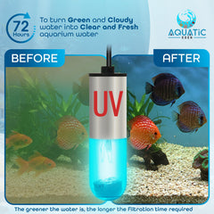 Aquatic Eden installé dans un sump illustrant efficacité en zone de fort débit