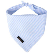 ARING PET bandana face avant bleu apporte style et confort