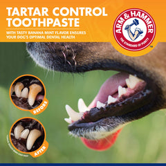 ARM & HAMMER brosse à doigt en usage démontrant apprentissage doux pour chiots