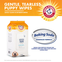 Arm & Hammer texture de la lingette durable pour nettoyage efficace
