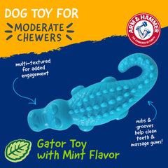 ARM & HAMMER gros plan texture nubs pour nettoyage efficace des dents