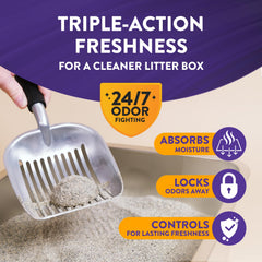ARM & HAMMER gros plan texture litière montrant agglomération rapide